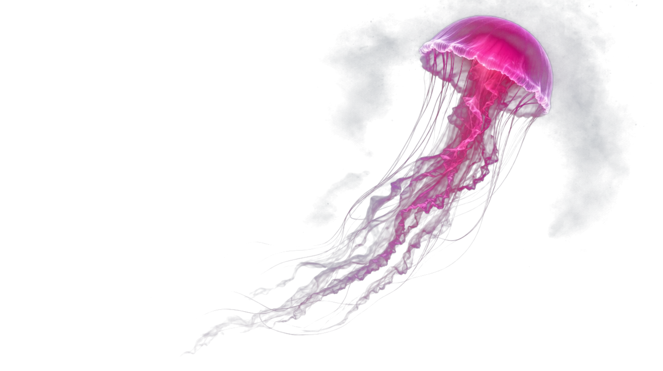 Medusa rosa bioluminescente scontornata: eleganza, libertà, spazio assoluto